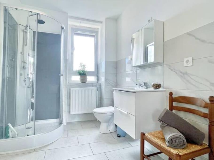 1 Appartement 3P Ideal Famille Travail Renove Lumineux Parking Gratuit Mulhouse Kültér fotó